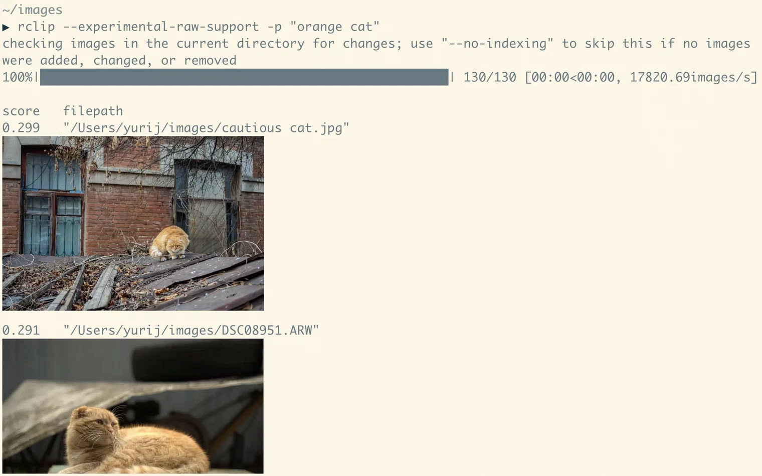 raw image search example