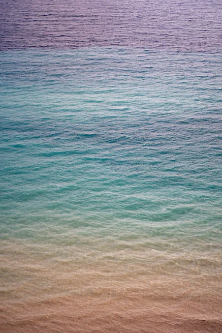 The Red Turtle