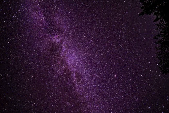 The sky above the woods was the color purple