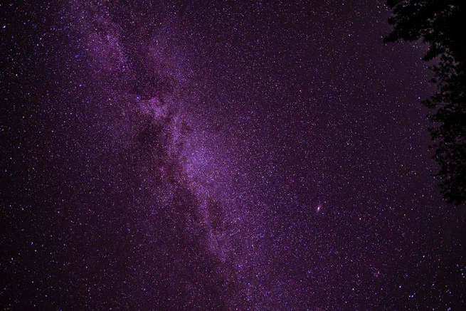 The sky above the woods was the color purple